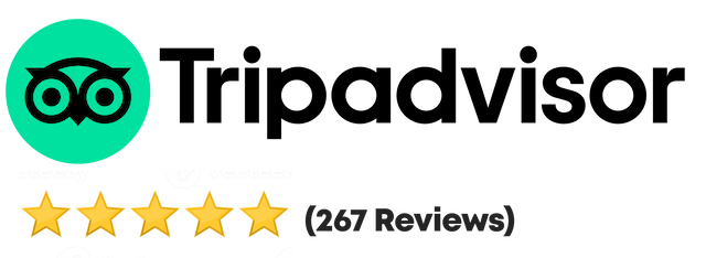 Paris Disneyland Airport Transfers - TripAdvisor