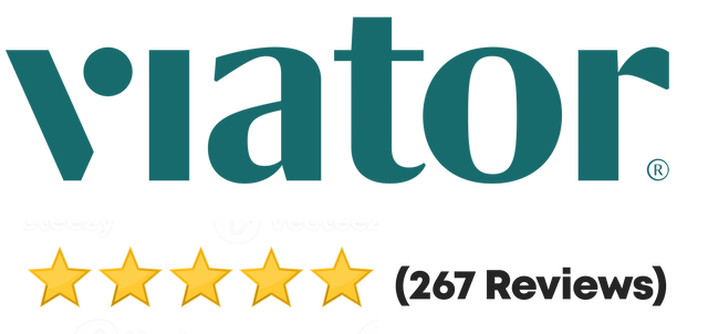 Paris Disneyland Airport Transfers - Viator